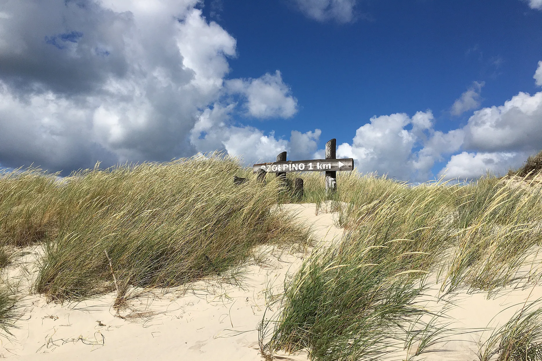 Wydma z piaskiem i wysokimi trawami oraz drewniany znak "SŁUPINO 1 km" pod niebieskim niebem z chmurami